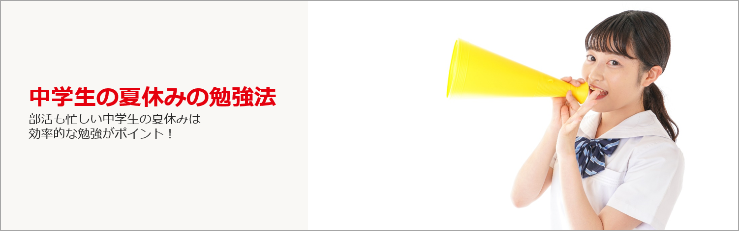 中学生の勉強法 定期テストの点数アップには正しい予習 復習を