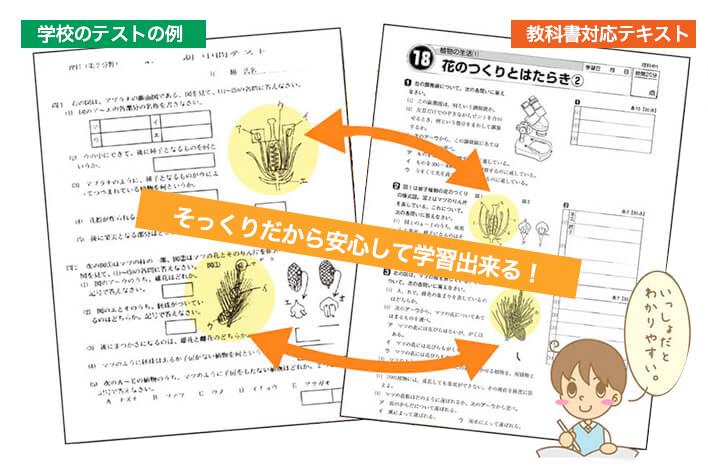 重要ポイントを簡単にまとめているから授業がとっても理解しやすい！！